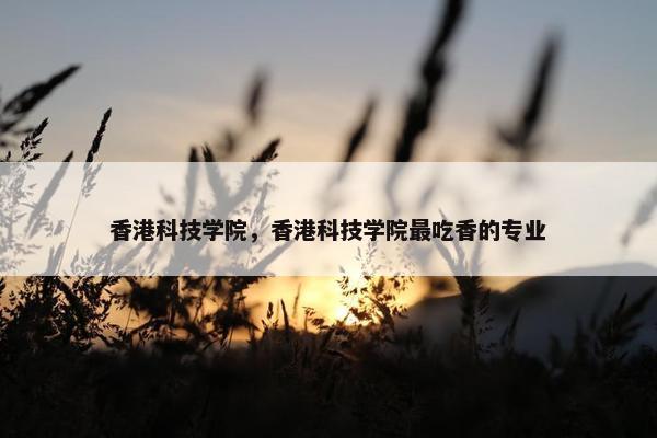 香港科技学院，香港科技学院最吃香的专业