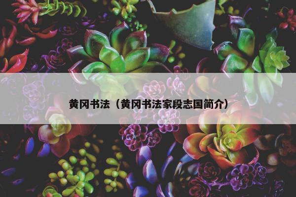 黄冈书法（黄冈书法家段志国简介）