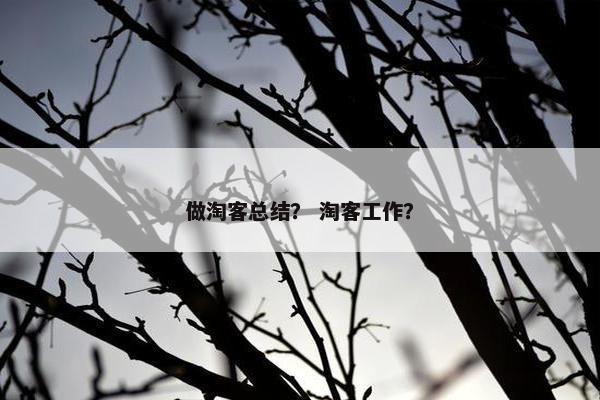 做淘客总结？ 淘客工作？