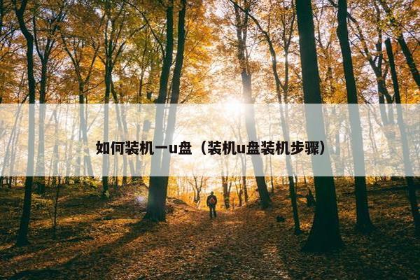 如何装机一u盘（装机u盘装机步骤）