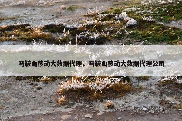 马鞍山移动大数据代理，马鞍山移动大数据代理公司