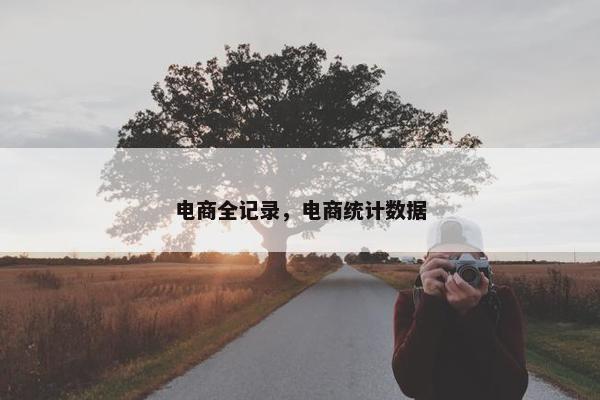 电商全记录，电商统计数据