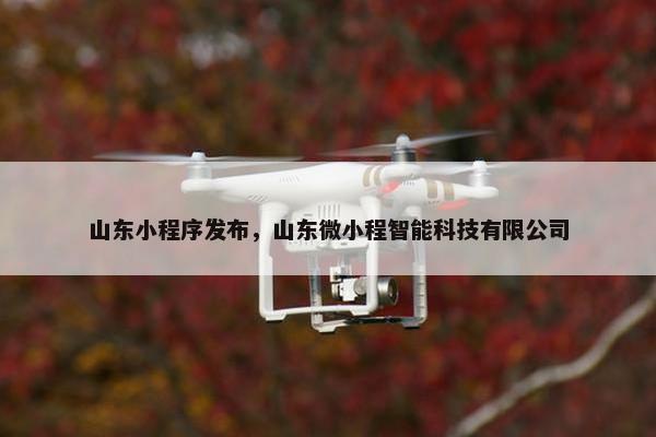 山东小程序发布，山东微小程智能科技有限公司