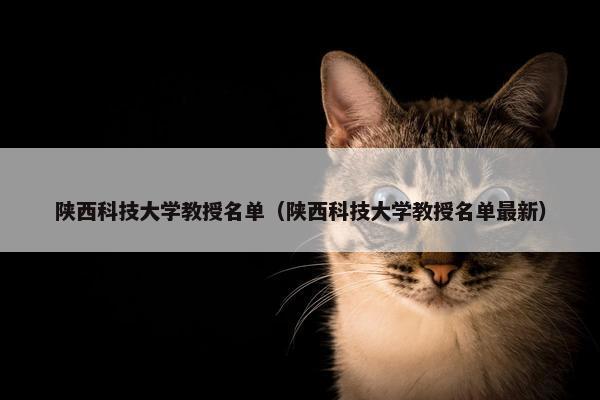 陕西科技大学教授名单（陕西科技大学教授名单最新）