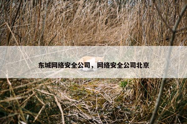东城网络安全公司，网络安全公司北京