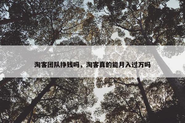 淘客团队挣钱吗，淘客真的能月入过万吗