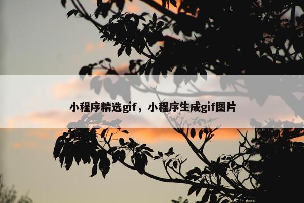 小程序精选gif，小程序生成gif图片