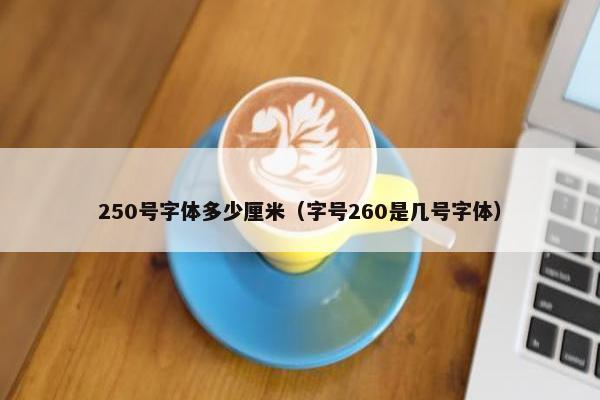 250号字体多少厘米（字号260是几号字体）