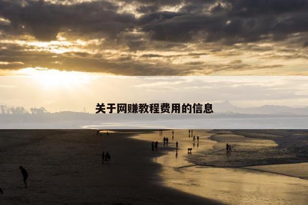 关于网赚教程费用的信息