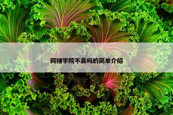 网赚学院不真吗的简单介绍