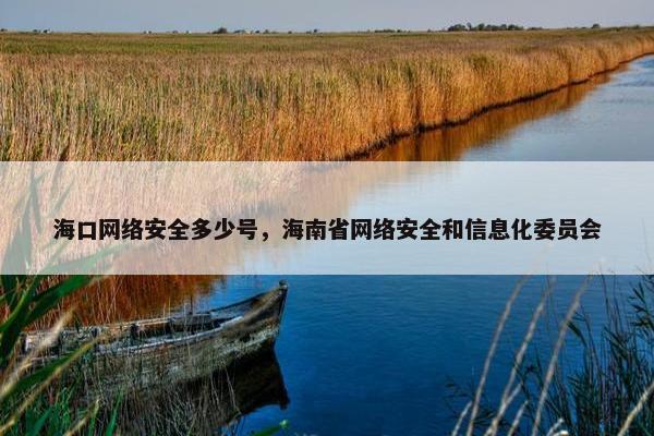 海口网络安全多少号，海南省网络安全和信息化委员会