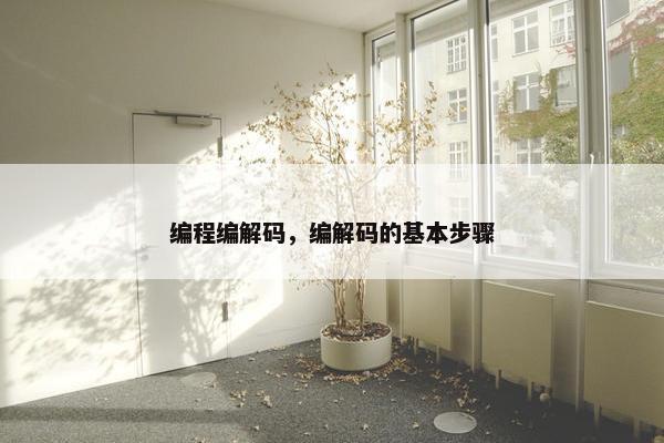 编程编解码，编解码的基本步骤