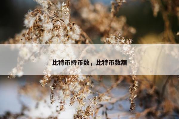 比特币持币数，比特币数额