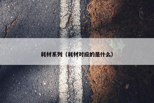 耗材系列（耗材对应的是什么）