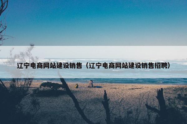 辽宁电商网站建设销售（辽宁电商网站建设销售招聘）