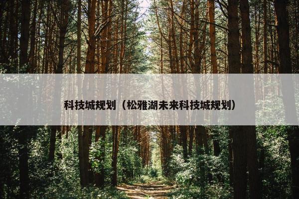 科技城规划（松雅湖未来科技城规划）
