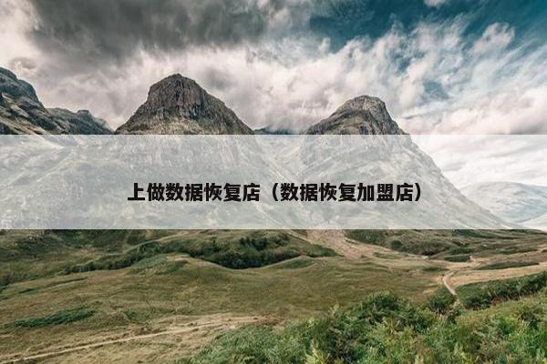 上做数据恢复店（数据恢复加盟店）