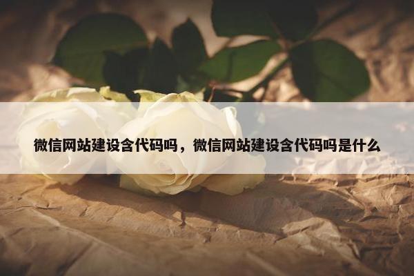 微信网站建设含代码吗，微信网站建设含代码吗是什么