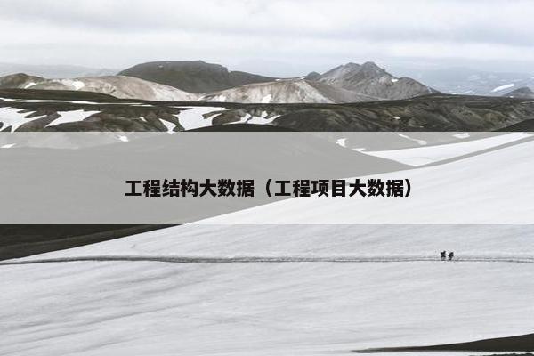 工程结构大数据（工程项目大数据）