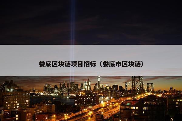 娄底区块链项目招标（娄底市区块链）