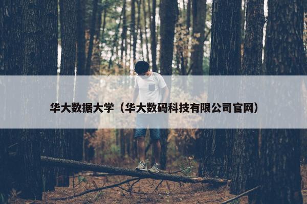 华大数据大学（华大数码科技有限公司官网）