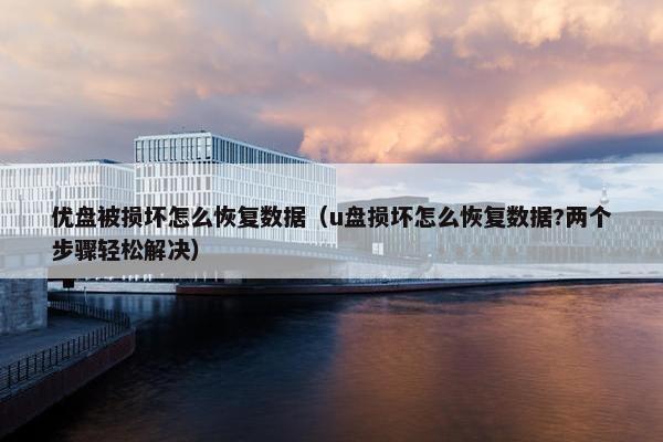 优盘被损坏怎么恢复数据（u盘损坏怎么恢复数据?两个步骤轻松解决）