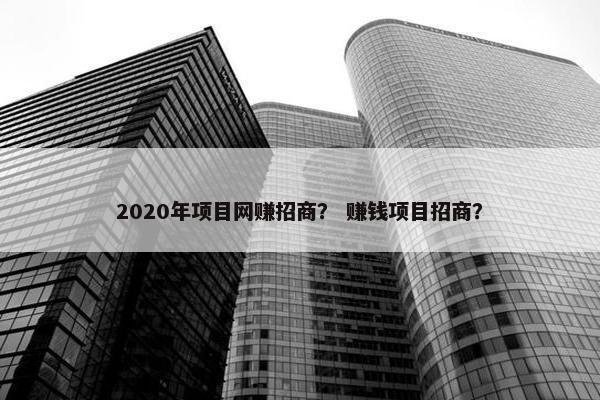2020年项目网赚招商？ 赚钱项目招商？