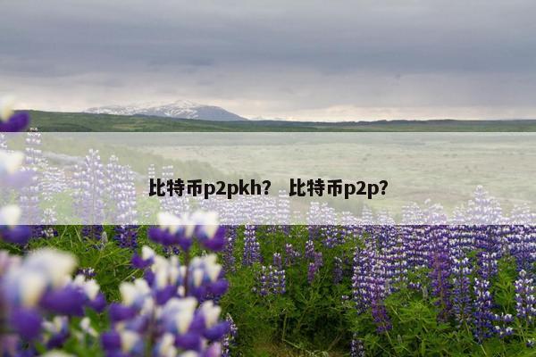 比特币p2pkh？ 比特币p2p？