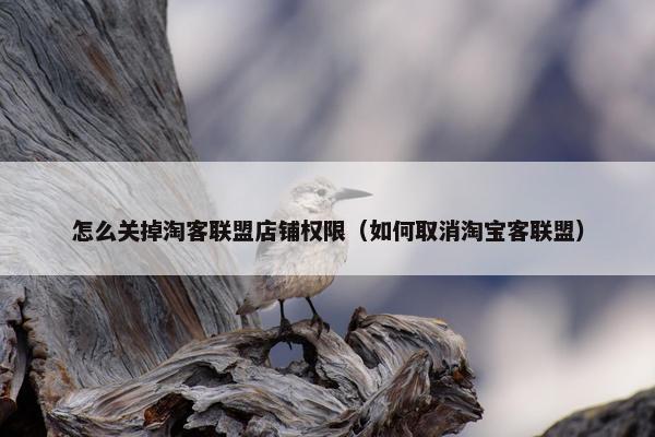 怎么关掉淘客联盟店铺权限（如何取消淘宝客联盟）