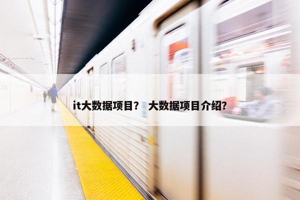 it大数据项目？ 大数据项目介绍？