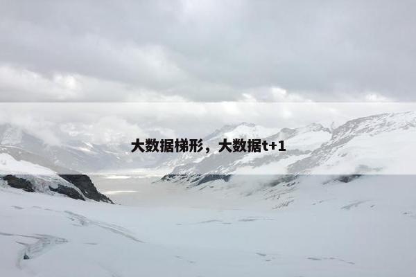 大数据梯形，大数据t+1