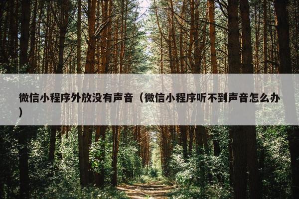 微信小程序外放没有声音（微信小程序听不到声音怎么办）