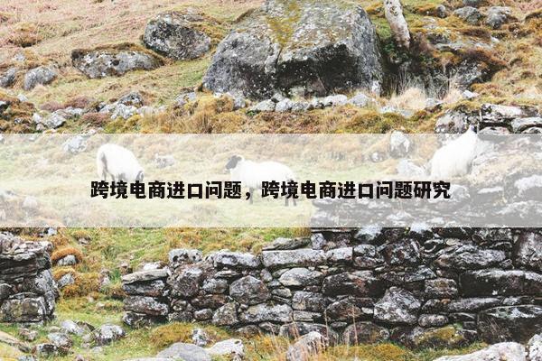 跨境电商进口问题，跨境电商进口问题研究
