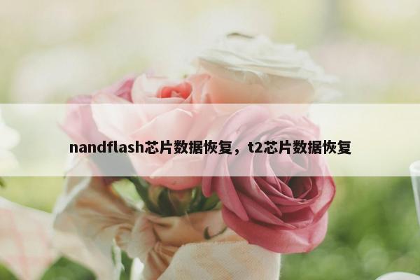 nandflash芯片数据恢复，t2芯片数据恢复