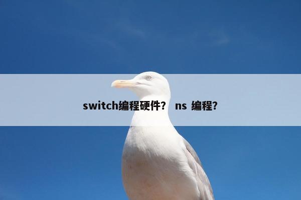 switch编程硬件？ ns 编程？