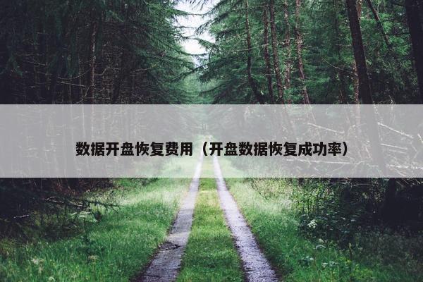 数据开盘恢复费用（开盘数据恢复成功率）
