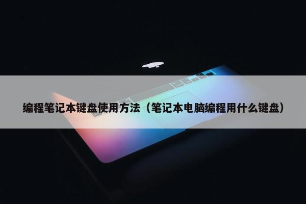 编程笔记本键盘使用方法（笔记本电脑编程用什么键盘）