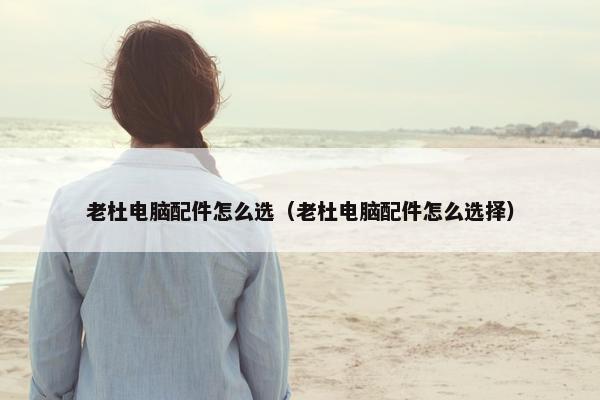 老杜电脑配件怎么选（老杜电脑配件怎么选择）