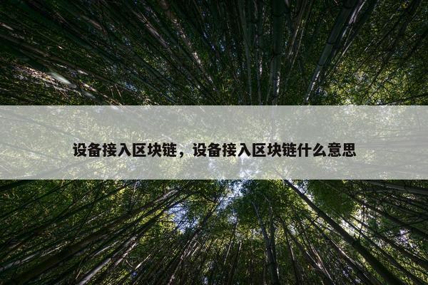 设备接入区块链，设备接入区块链什么意思