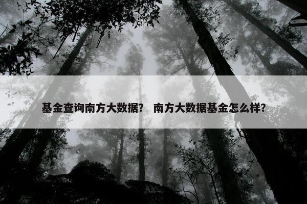 基金查询南方大数据？ 南方大数据基金怎么样？