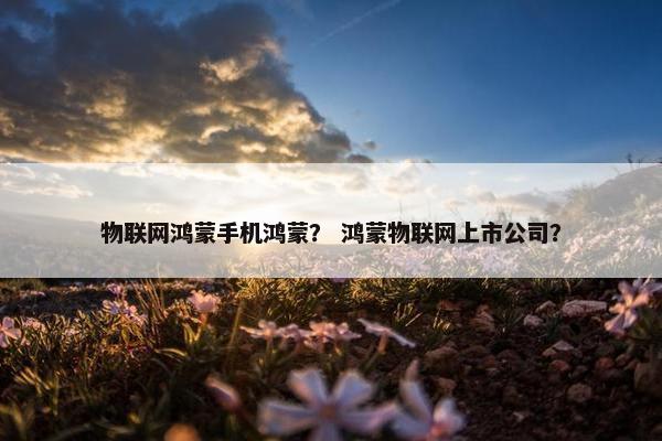 物联网鸿蒙手机鸿蒙？ 鸿蒙物联网上市公司？
