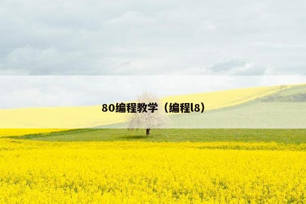 80编程教学（编程l8）