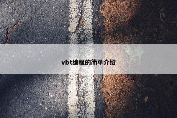vbt编程的简单介绍