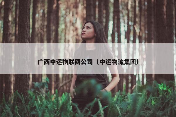 广西中运物联网公司（中运物流集团）
