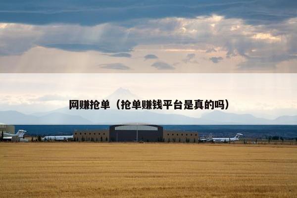 网赚抢单（抢单赚钱平台是真的吗）