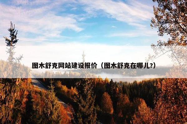 图木舒克网站建设报价（图木舒克在哪儿?）
