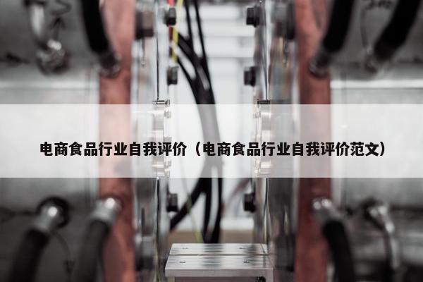 电商食品行业自我评价（电商食品行业自我评价范文）