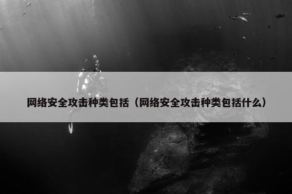 网络安全攻击种类包括（网络安全攻击种类包括什么）