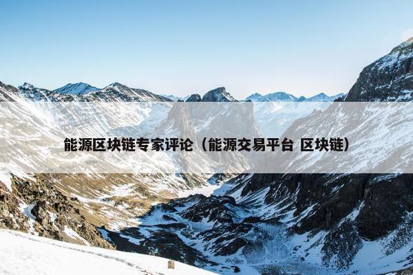 能源区块链专家评论（能源交易平台 区块链）