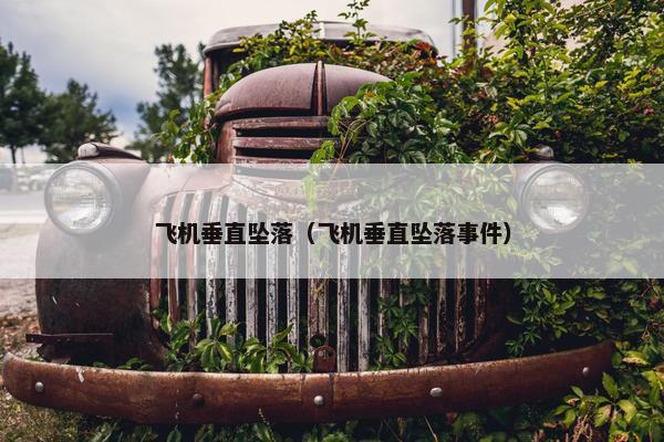 飞机垂直坠落（飞机垂直坠落事件）